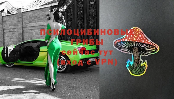 гашик Козловка
