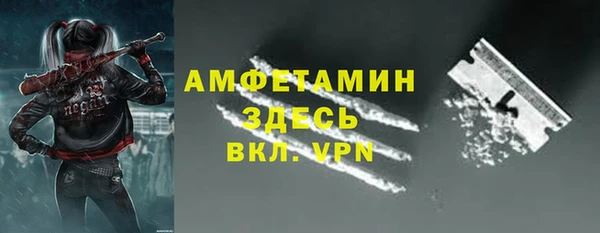гашик Козловка