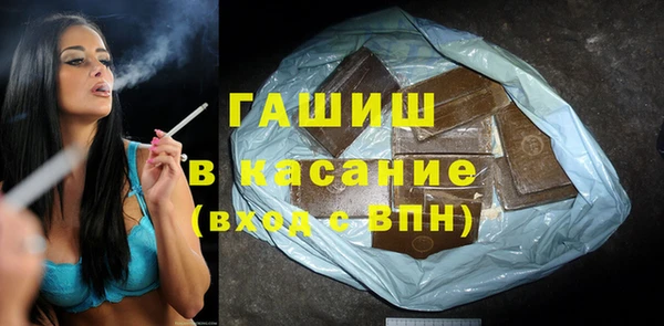 гашик Козловка