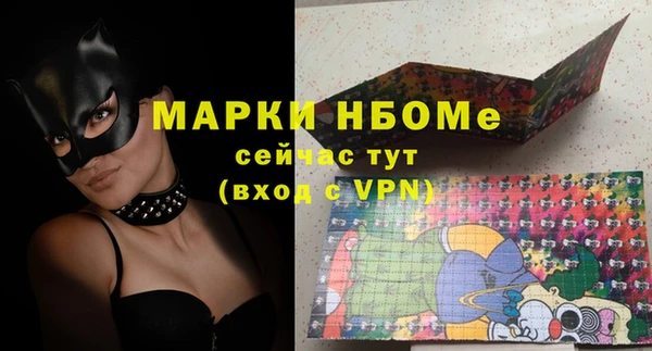 гашик Козловка