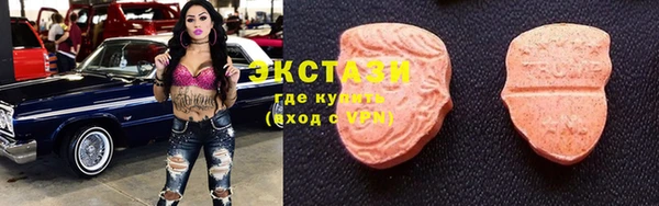 гашик Козловка