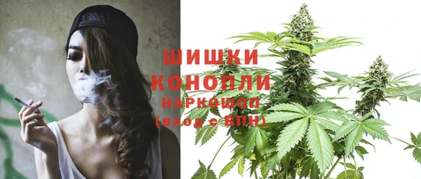 гашик Козловка