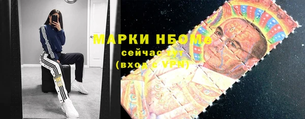 гашик Козловка