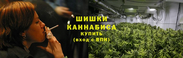 гашик Козловка